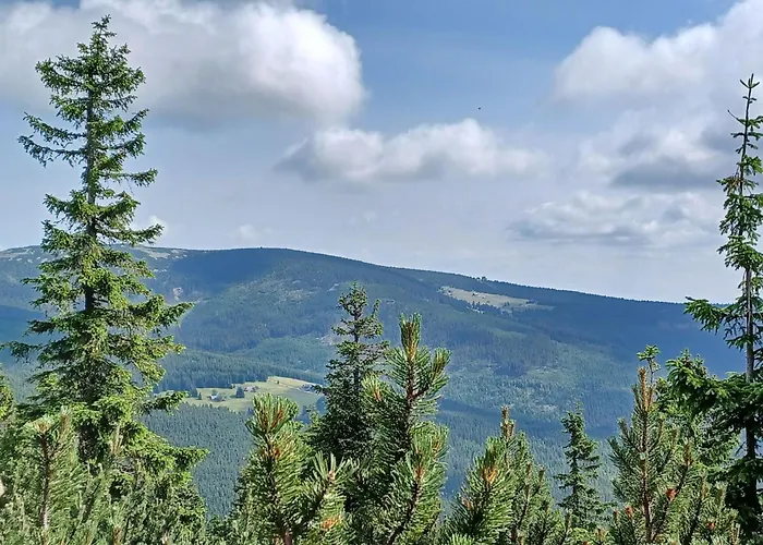 Hill 62 By Interhome Dom wakacyjny Cista (Hradec Kralove)